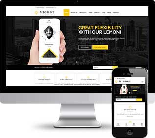 五金外貿織夢模板,電子出口網站源碼