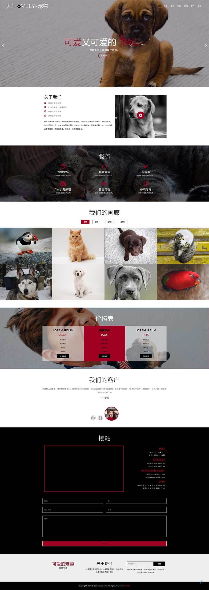 單頁面靜態(tài)模板,動物樂園html5模板