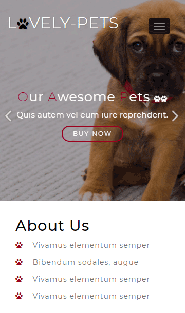 單頁面靜態(tài)模板,動物樂園html5模板