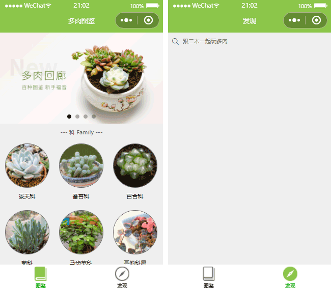 百科全書(shū)小程序模板