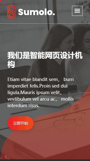 Web軟件靜態(tài)模板,程序開發(fā)html5模板