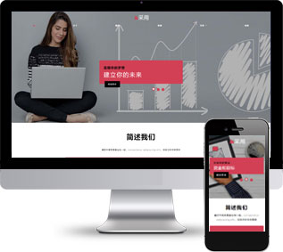 網(wǎng)站運營靜態(tài)模板,數(shù)據(jù)分析html5模板