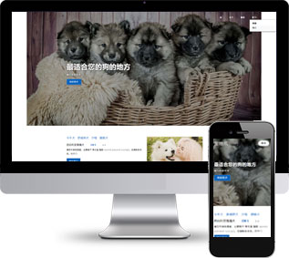 寵物醫(yī)院靜態(tài)模板,培訓(xùn)機(jī)構(gòu)html5模板