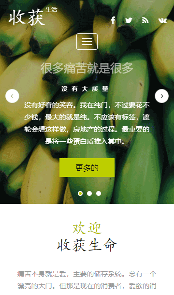 蔬菜網(wǎng)頁(yè)模板,水果html5模板