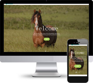 馬匹飼養(yǎng)網(wǎng)站源碼,賽馬繁育網(wǎng)站源碼