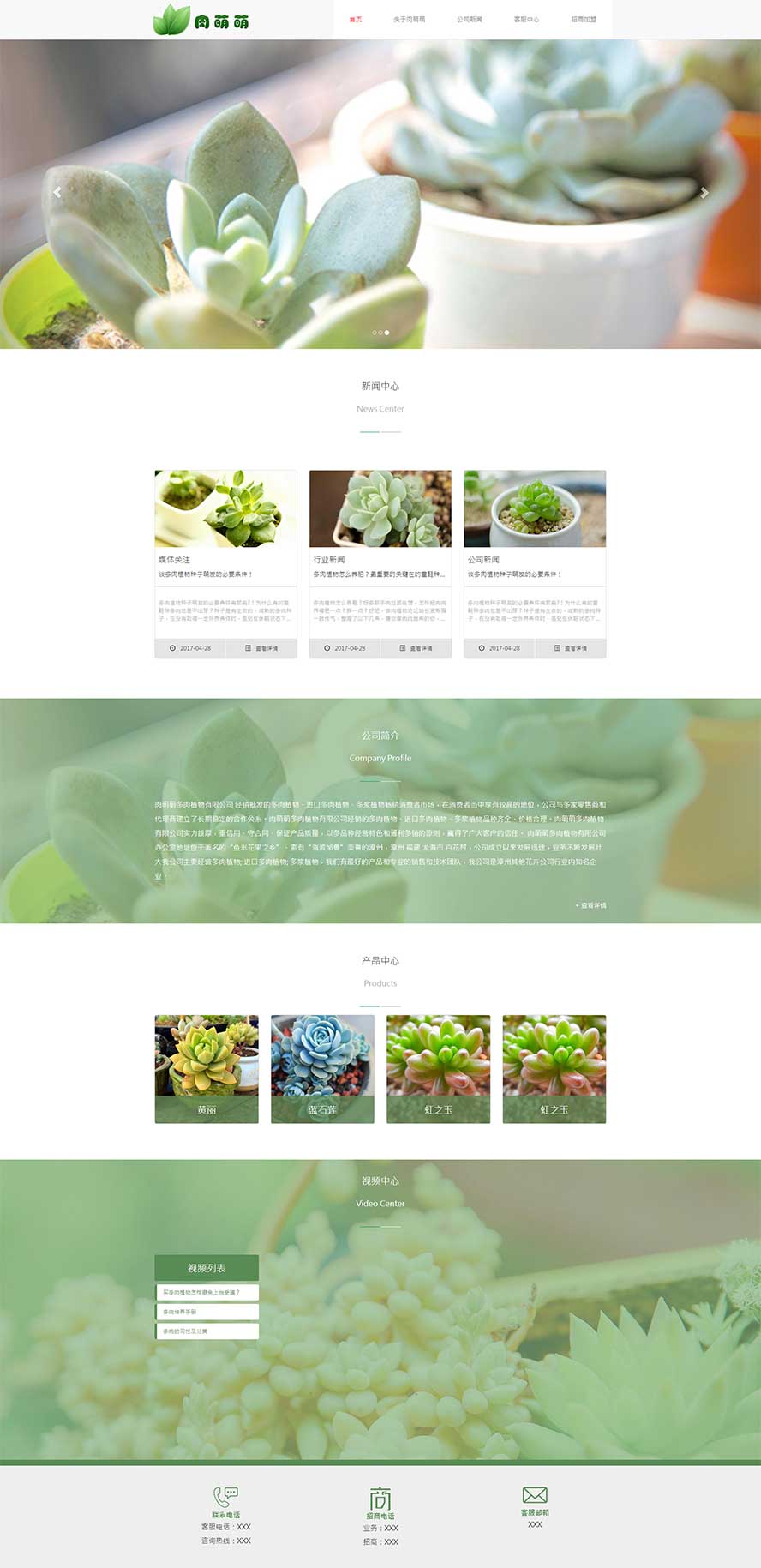 多肉盆栽靜態(tài)模板,植物養(yǎng)殖html5模板