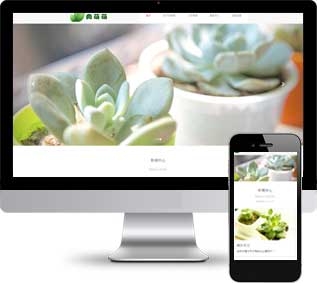 多肉盆栽靜態(tài)模板,植物養(yǎng)殖html5模板