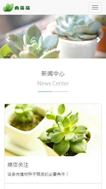 多肉盆栽靜態(tài)模板,植物養(yǎng)殖html5模板