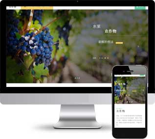 有機水果靜態(tài)模板,加盟企業(yè)html5模板