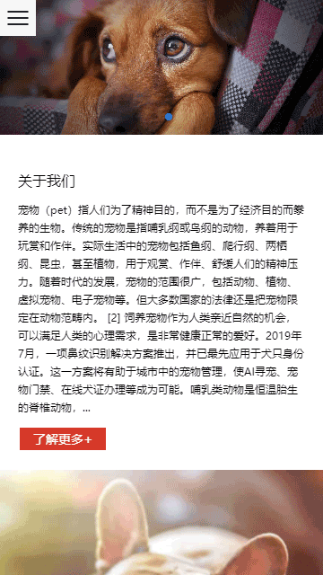 寵物零食網(wǎng)站源碼,貓糧網(wǎng)站源碼,狗糧網(wǎng)站源碼